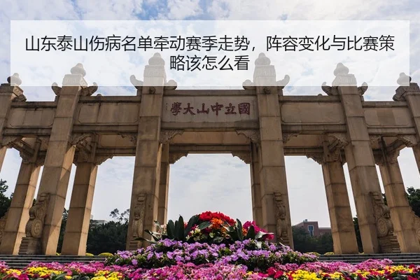 山东泰山伤病名单牵动赛季走势，阵容变化与比赛策略该怎么看